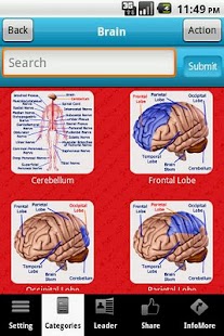 A-Z: Full Body Anatomy