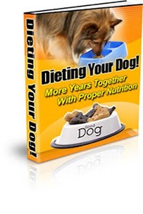How to install The Dog Diet 1.0 apk for laptop