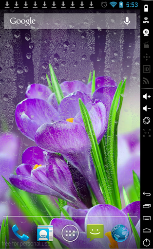 Flowers in Rain LiveWallpaper