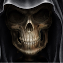 Skull Theme HD logo
