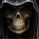 Skull Theme HD