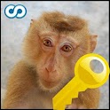 Name That Monkey Key