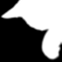 Catty Radio Streamer logo