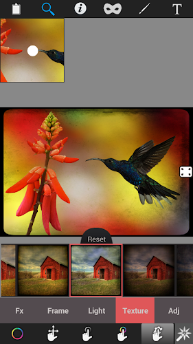 Color Effect Photo Editor Pro - screenshot