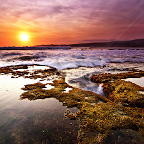 SAWARNA by Vincent Benex - Landscapes Beaches