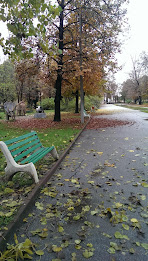 European Autumn Wallpaper poster 3