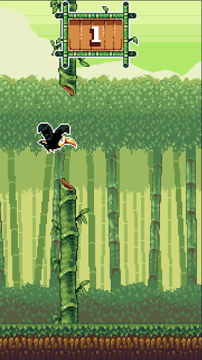 Toucan Dan:Bamboo Adventures