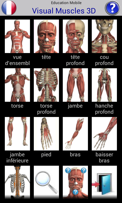 Android application Visual Muscles 3D screenshort
