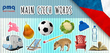 Main Czech words [PMQ] APK