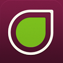 Fig icon