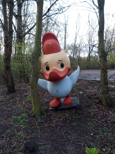 Forest Duck