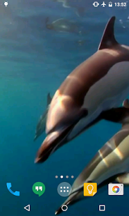 download Dolphins Live Wallpaper free