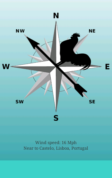 Wind Vane Screen 2