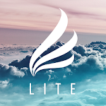 Cover Image of Download Flight Lite - Minimalist Icons 1.0.1 APK