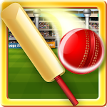 Cover Image of Download Cricket Bat Balance 1.0.0 APK