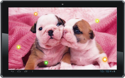 【免費個人化App】Lovely Puppies live wallpaper-APP點子