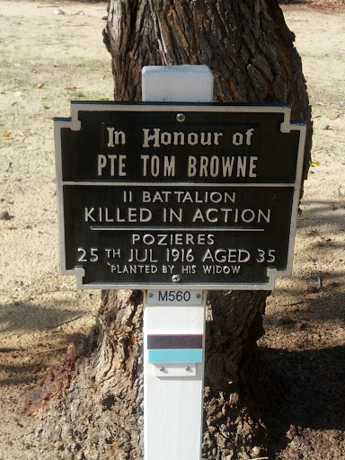 Private Tom Browne