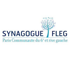 Synagogue Paris 6 1.0