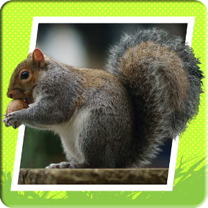 Play & Learn: Animals.apk 2.0.3