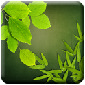 Green Leaf Live wallpaper icon