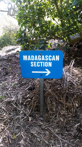 Madagascan Section