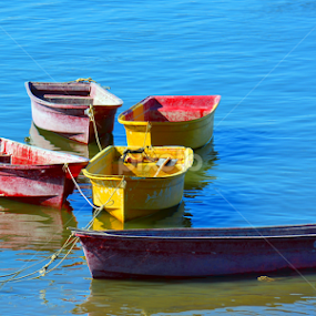 A Whole Bunch of Small Boats by Alan Chew - Transportation Boats