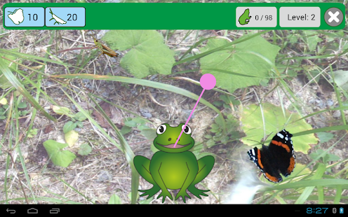 Frog for kids and adults free Screenshots 8