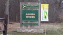 Lambs Woods