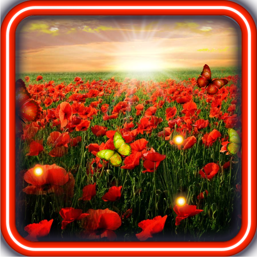 Poppy Flower HD Live Wallpaper 個人化 App LOGO-APP開箱王