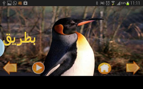 Free عالم الحيوانات - نسخة كاملة APK for PC
