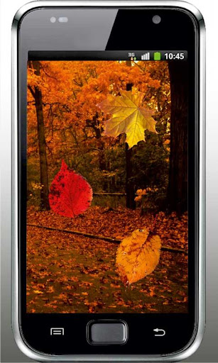 Autumn Gallery live wallpaper