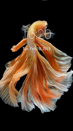 Koi fish Lock Screen