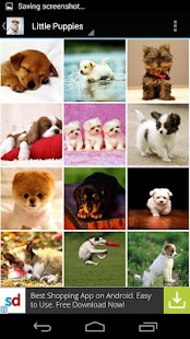 Cute Little Puppies Wallpapers Screenshots 21