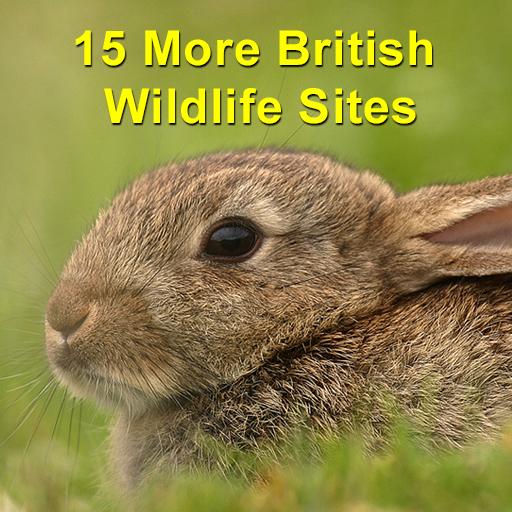 15 More British Wildlife Sites LOGO-APP點子