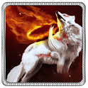 wolf wallpaper hd - magic pro icon