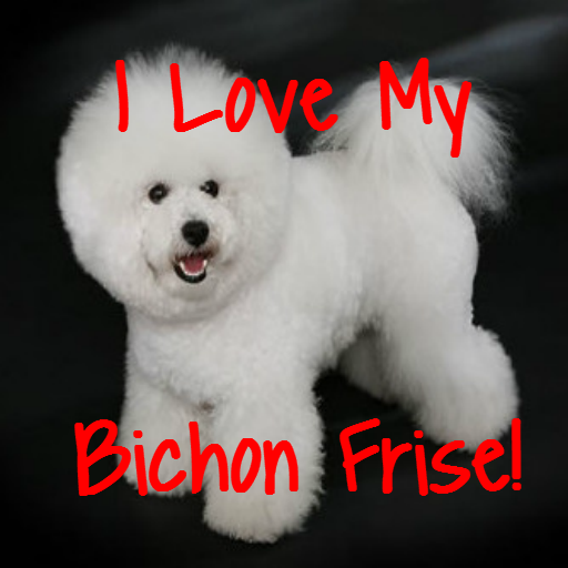 *I Love My Bichon Frise APP! 娛樂 App LOGO-APP開箱王