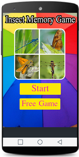 Insect Memory Game