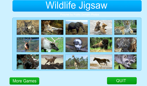Wildlife Jigsaw Puzzle