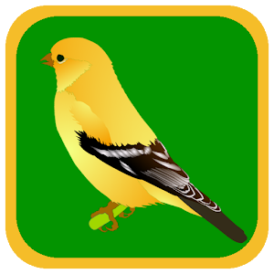 Quiz Bird 1.1