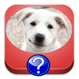 Dog Breeds Quiz for PC and MAC