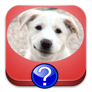 Dog Breeds Quiz Hacks and cheats