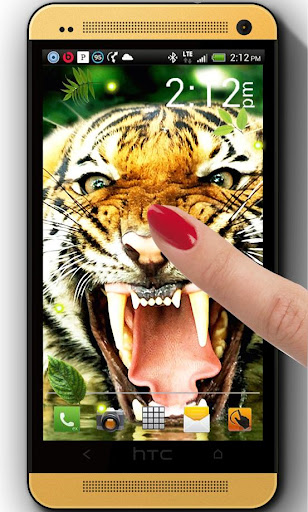 Jungles Tigers live wallpaper