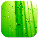 Nature alarm icon