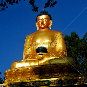 by Vijay Nagaonkar - Uncategorized All Uncategorized