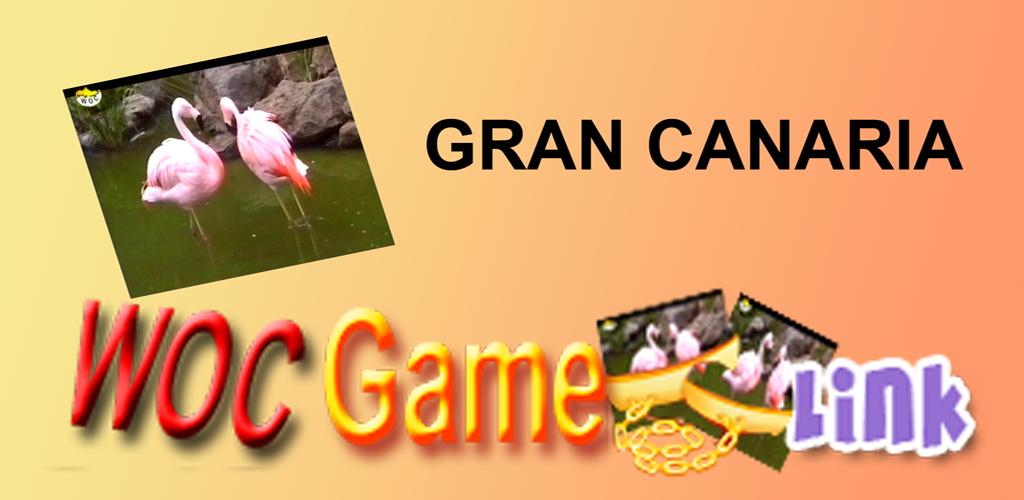 Canaria game.