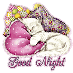 Good Night SMS Messages Msgs Apk