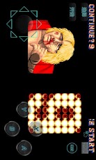 Street Fighter II
