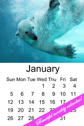 Polar Bear Calendar 2014