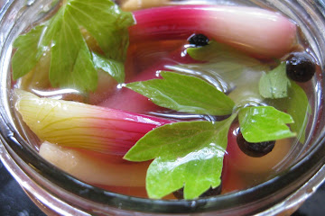 Pickled Spring Onions