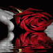 Hand Held Reflective Rose LWP1